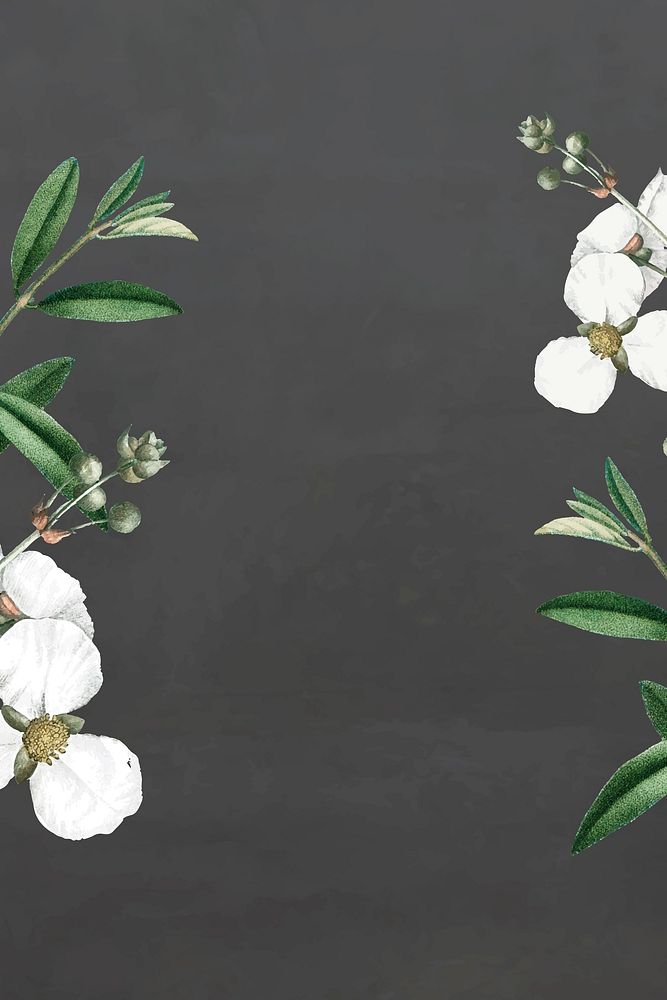 White flower on a graybackground vector template