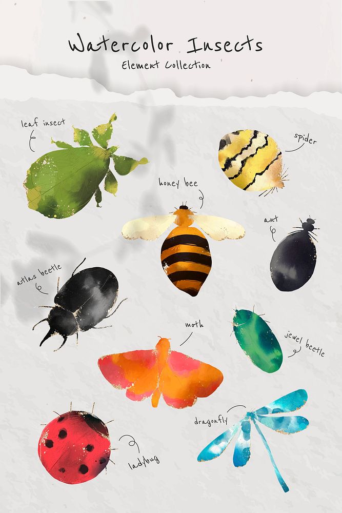 Cute watercolor insects collection vector