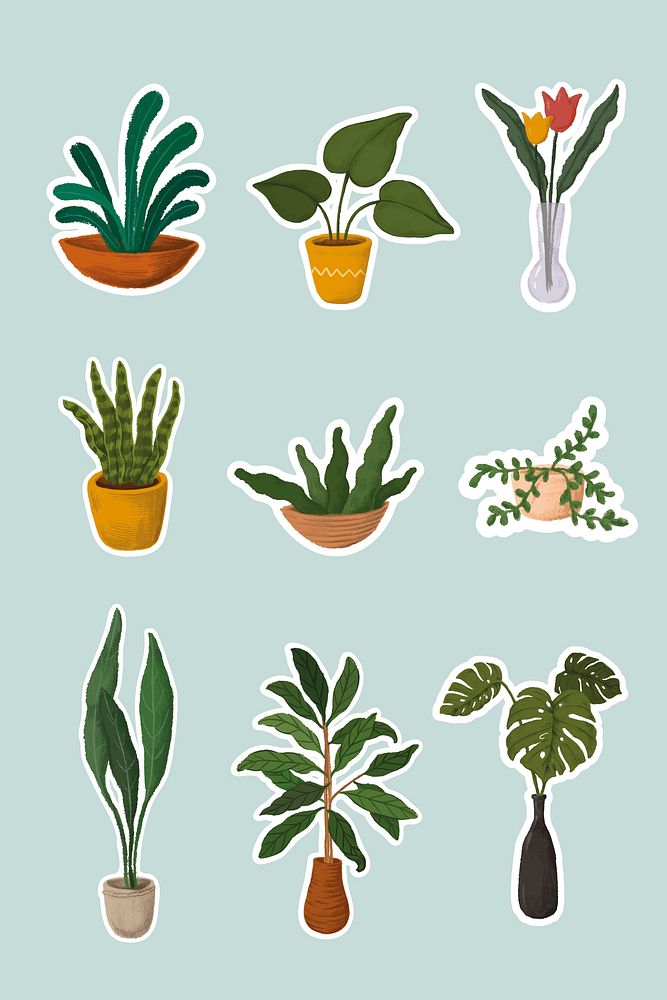 Indoor plants sticker collection vector