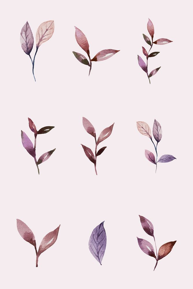 Hand painted watercolor leaves vector set
