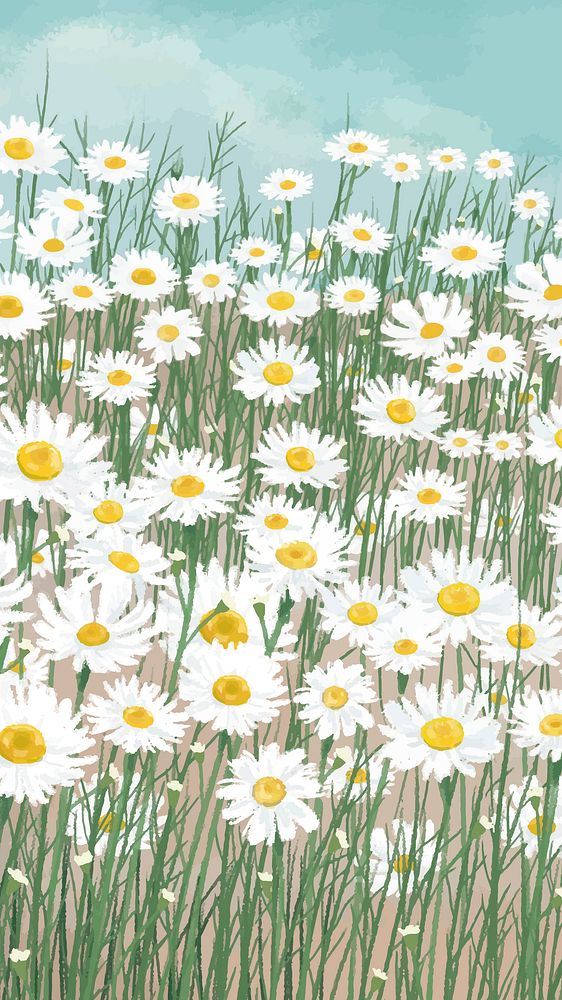 Flower field phone wallpaper, white daisies art background