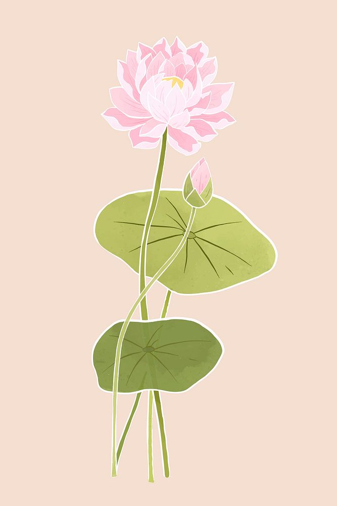 Hand-drawn water lily design element vector