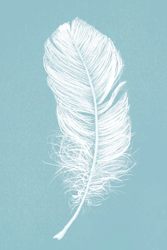 Hand drawn white feather vector on blue background