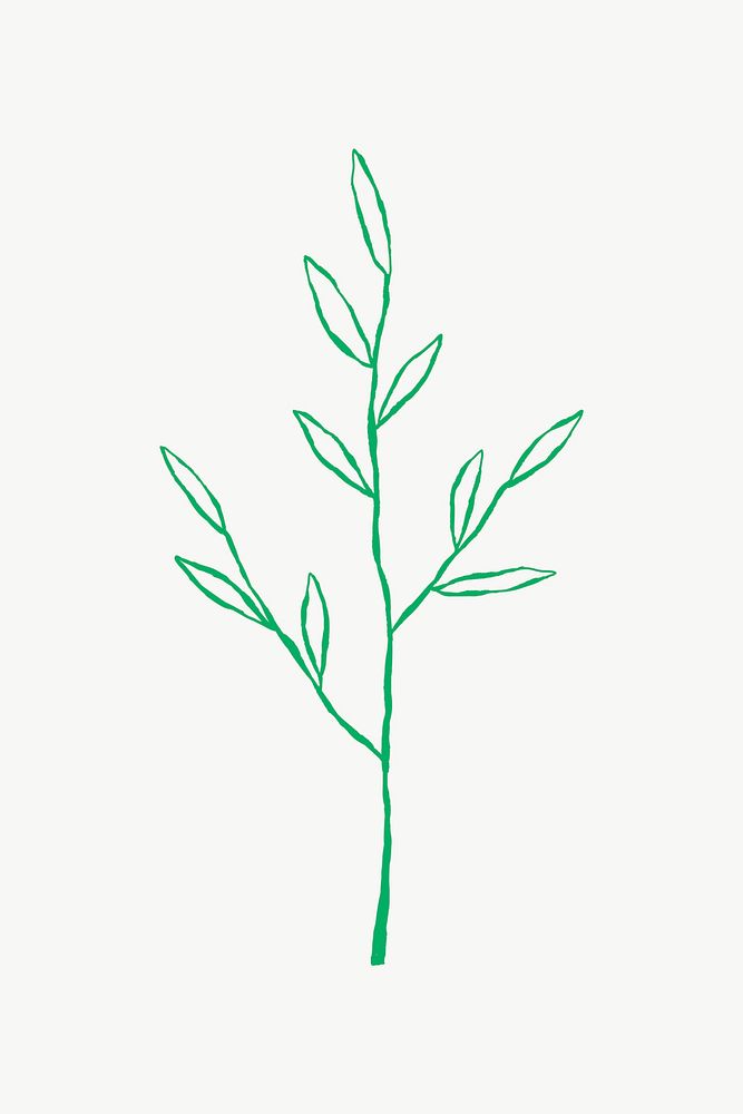 Botanical leaf branch vector cute doodle illustration