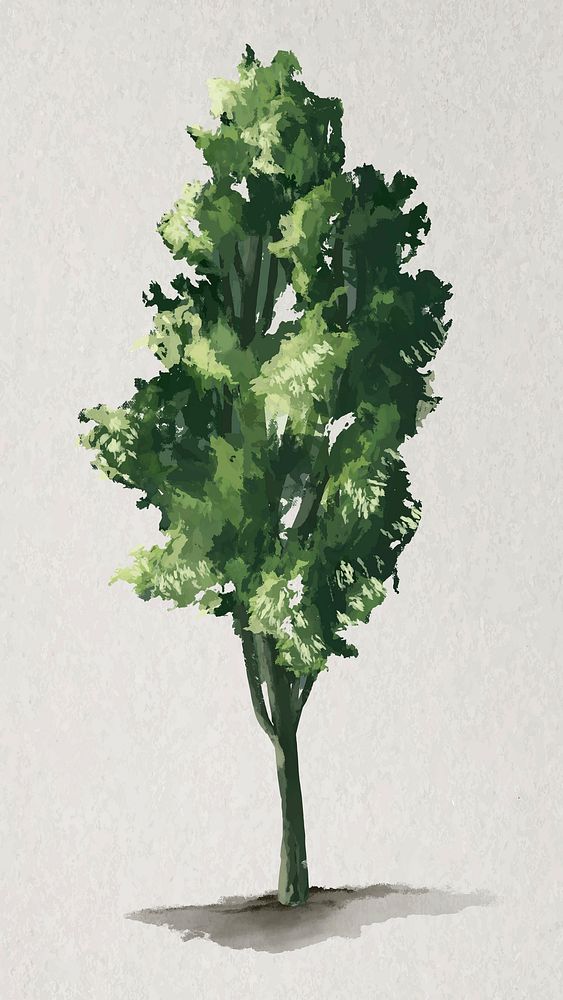 Tree element vector Pine tree