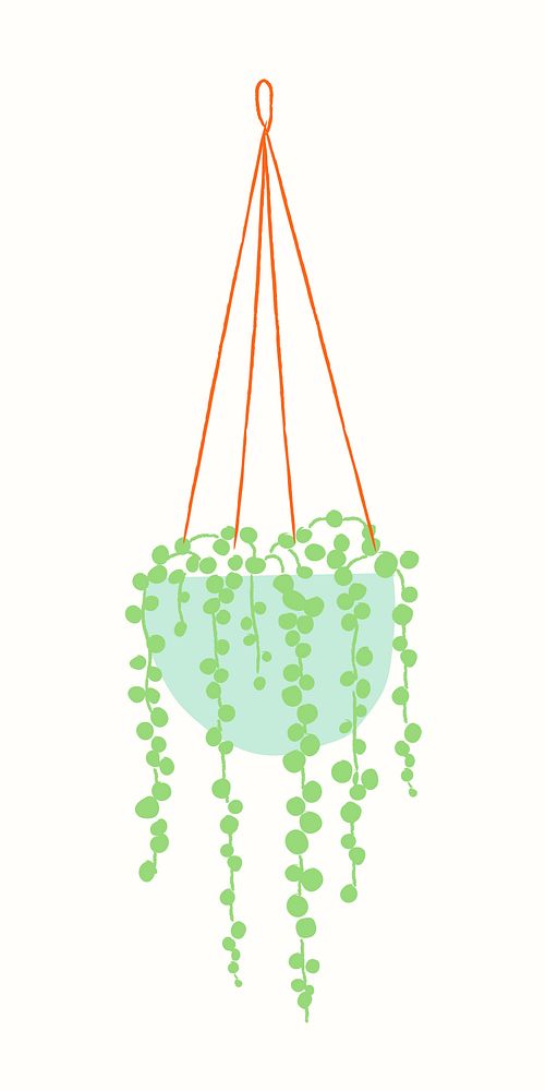 Hanging plant houseplant vector doodle