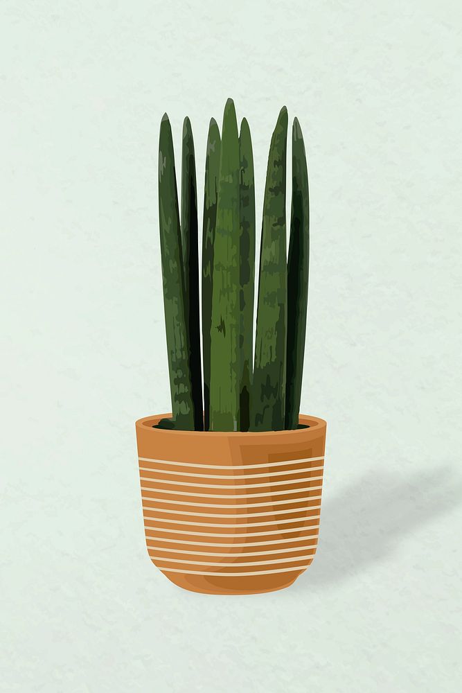 Potted plant vector, snake plant potted home interior decoration