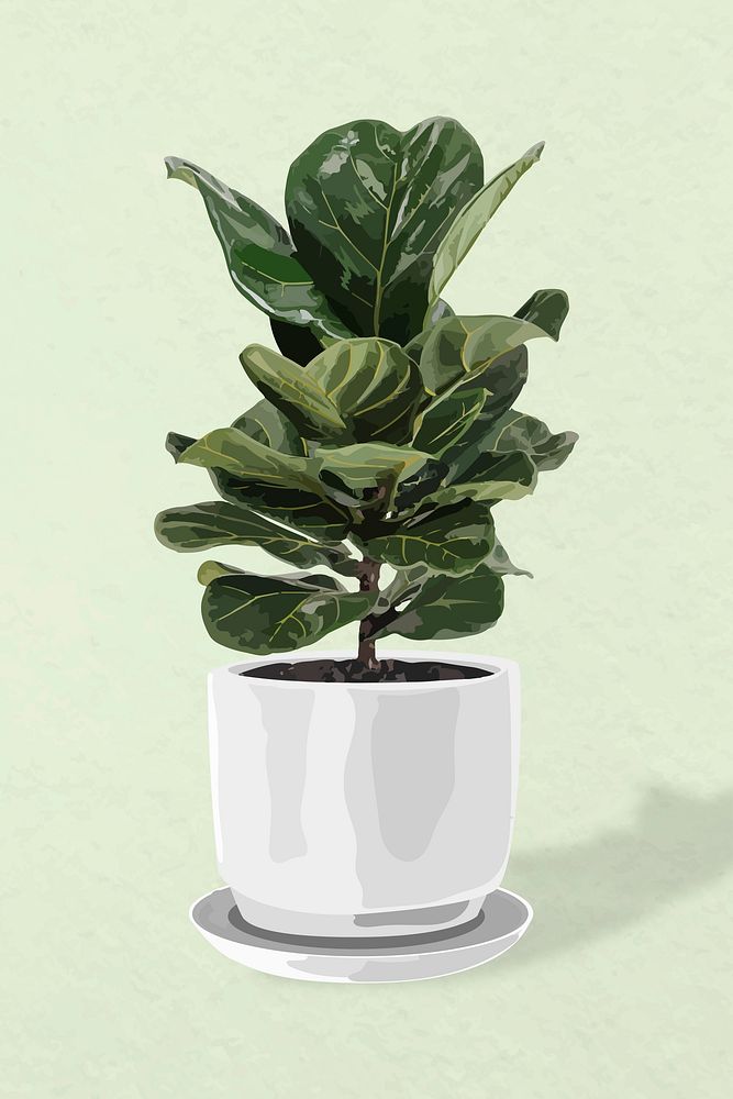 Plant vector image, fiddle leaf fig potted home interior decoration