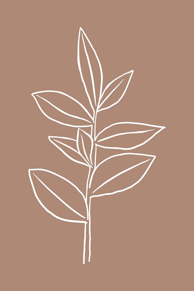 Rubber plant vector doodle botanical illustration