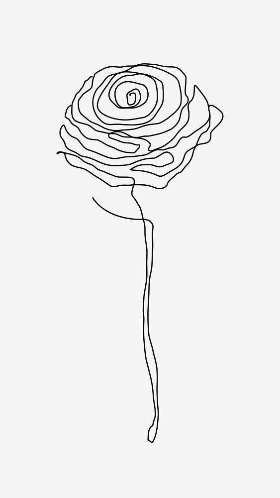 Rose flower line drawing vector