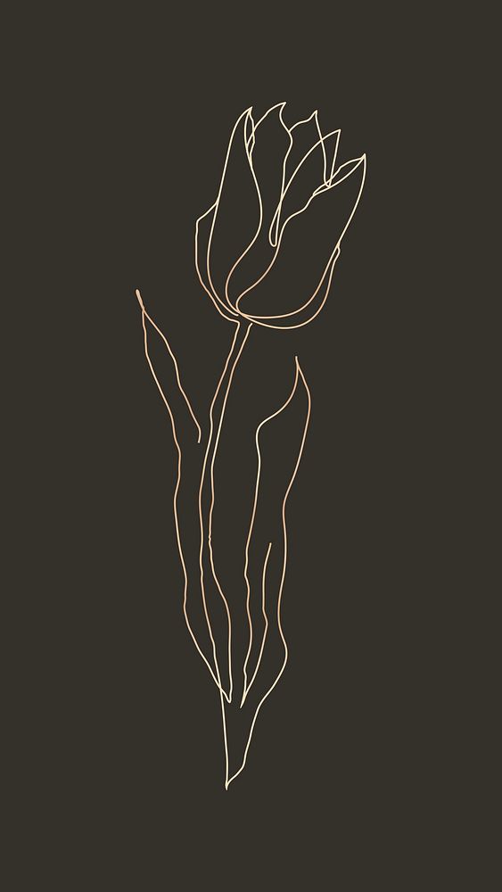 Tulip flower line drawing vector