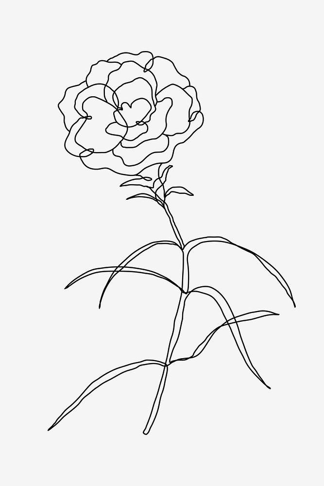 Flower single line art vector in hand drawn style