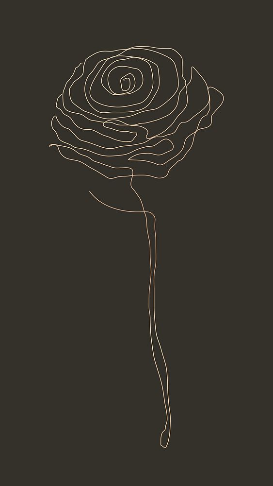 Rose flower line drawing vector