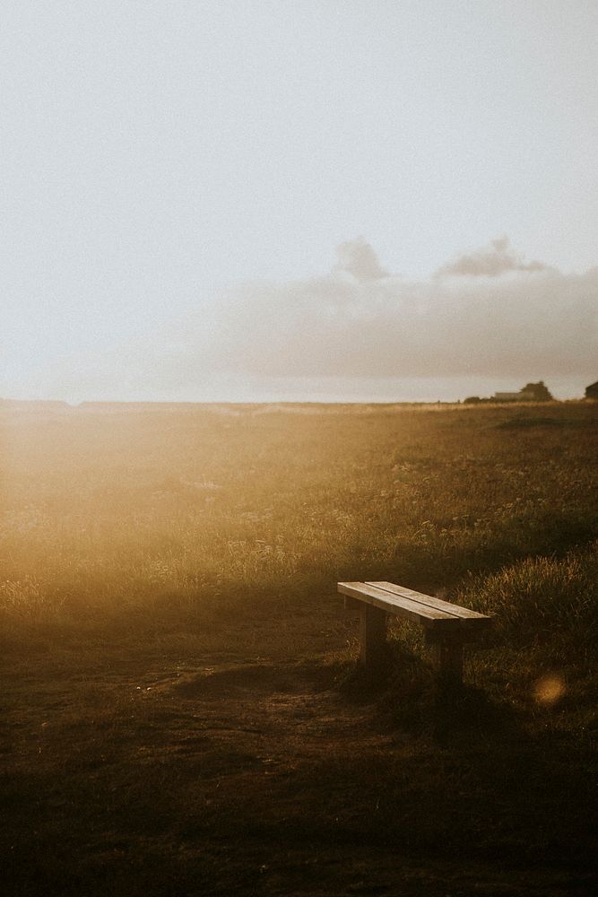 Bench by the green meadow