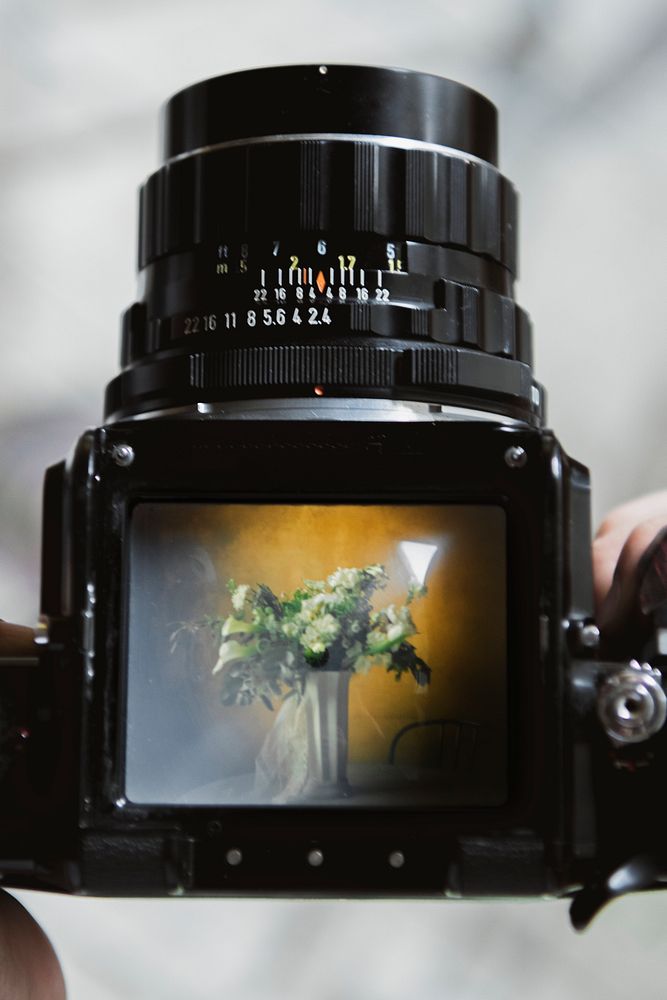 Flowers through a 120mm analog camera