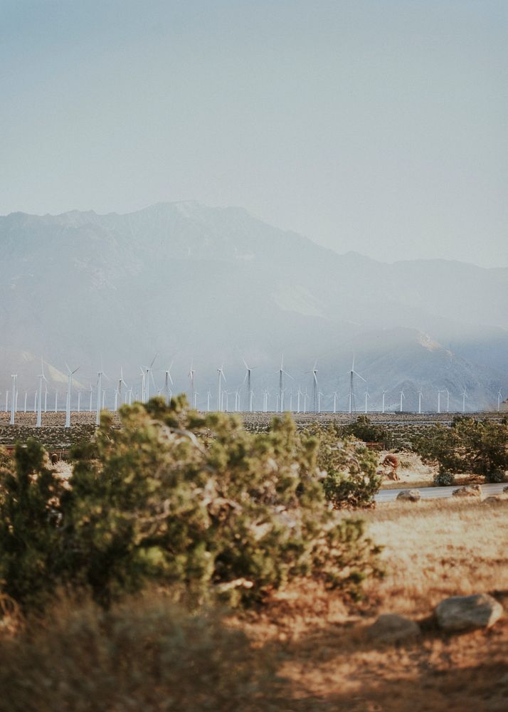 Wind turbines in the Palm Springs desert, USA