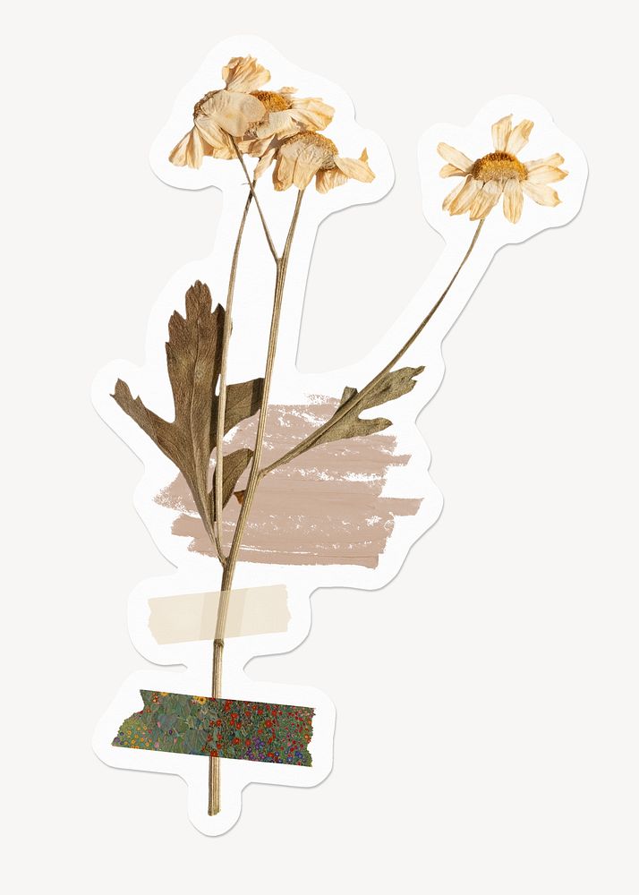 Daisy flower, Autumn scrapbook collage, off white design