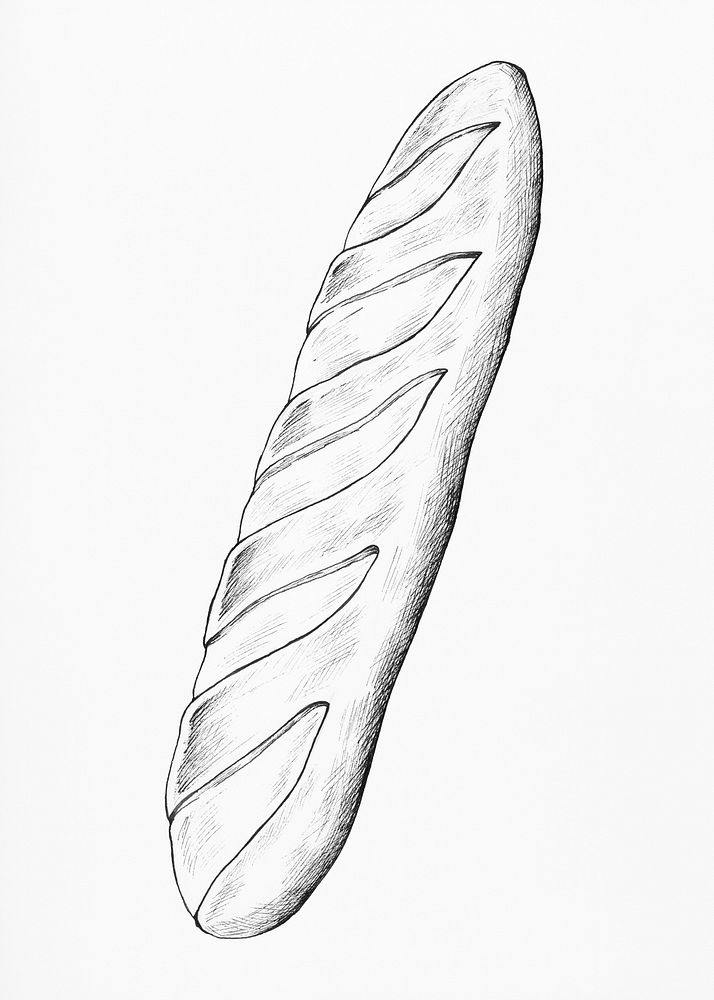 Hand drawn freshly bake baguette