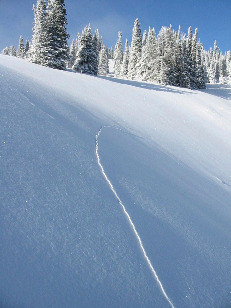 crack_ Avalanche potential.jpgA shooting crack observed in the mountains near West Yellowstone, Montana on the Custer…