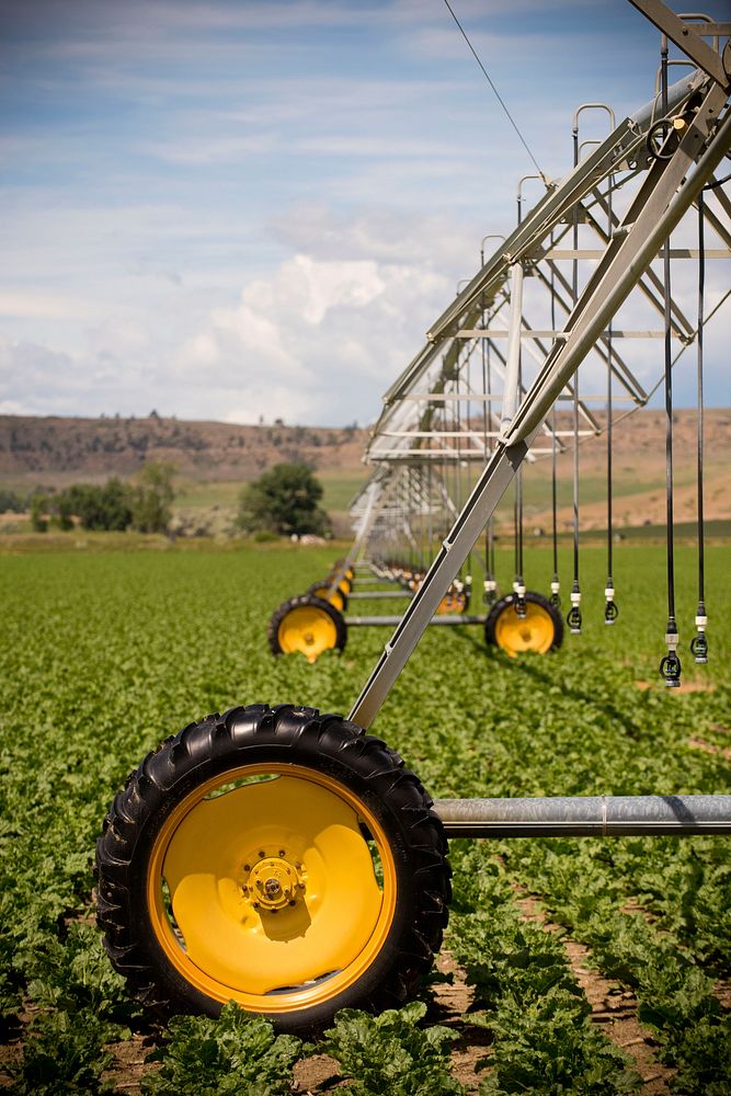 Greg Schlemmer, farmer near Fromberg, Mont., changed his irrigation system from siphon tubes for surface irrigation to a…