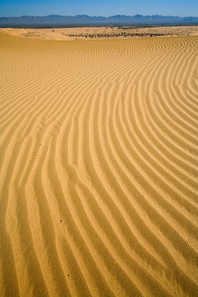 The Algodones Sand Dunes System covers 200 square miles, making it one of the largest dune complexes in North America.
