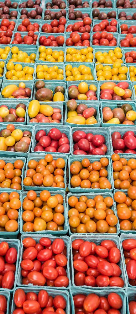 Cherry tomatoes streight from farm fields, on sale by farmer vendors at the U.S. Department of Agriculture (USDA) Farmers…
