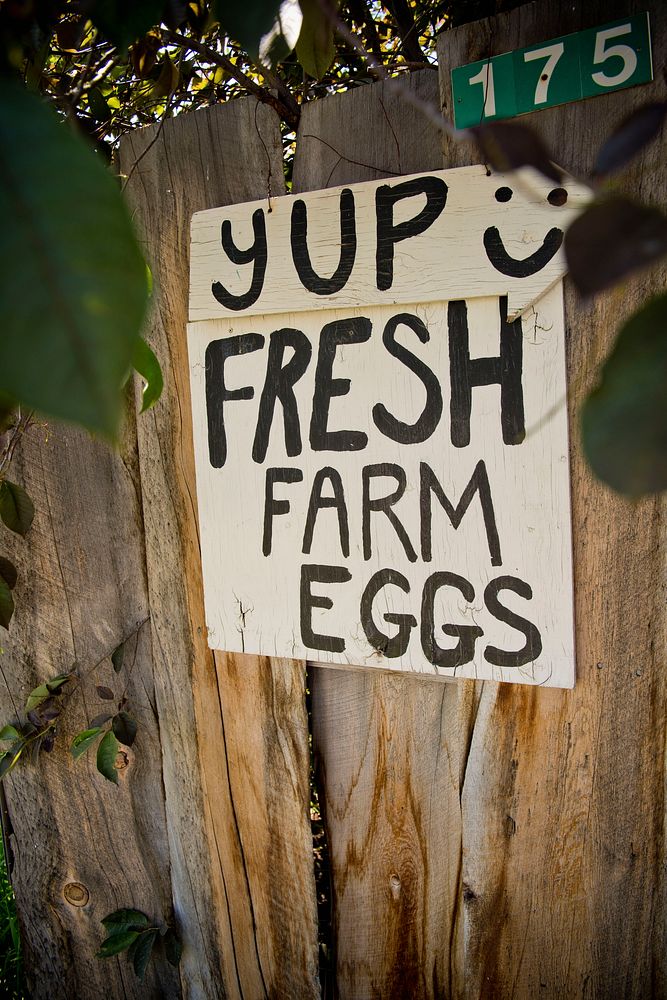 Signs at Homestead Organic Farm near Hamilton, Mont. Ravalli County, Montana. June 2017.. Original public domain image from…