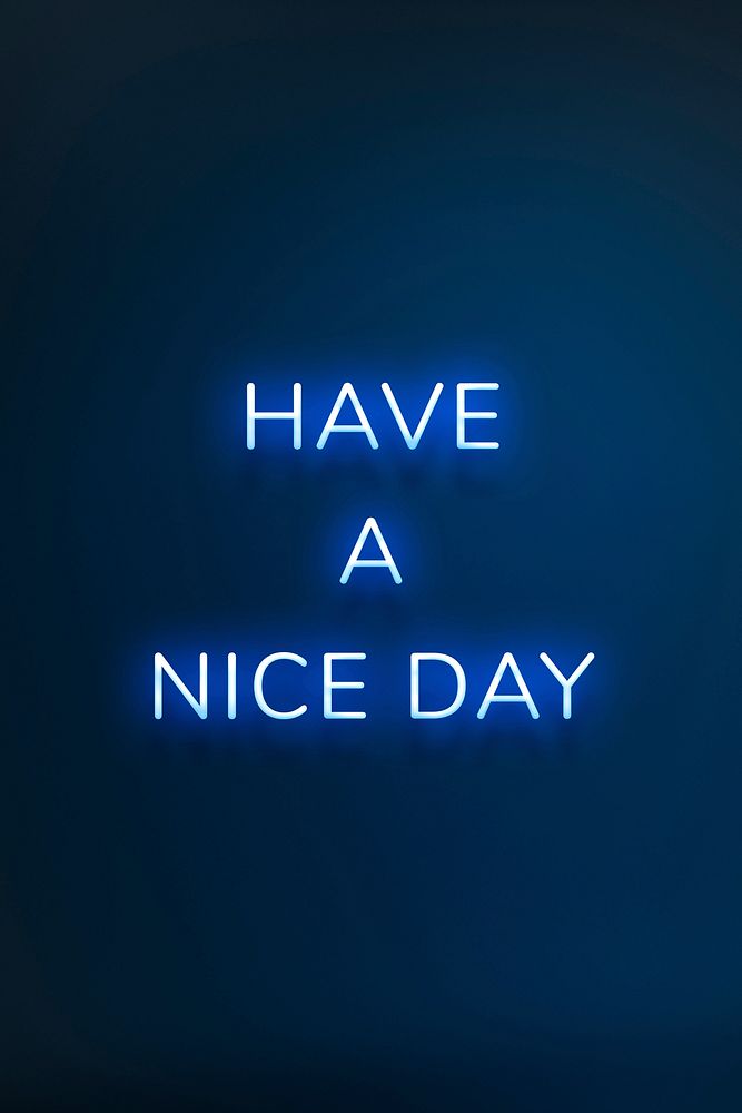 HAVE A NICE DAY neon phrase typography on a blue background