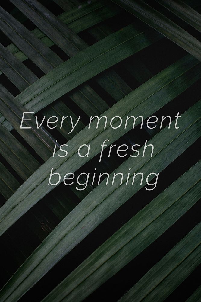 Every moment is a fresh beginning quote on a palm leaves background