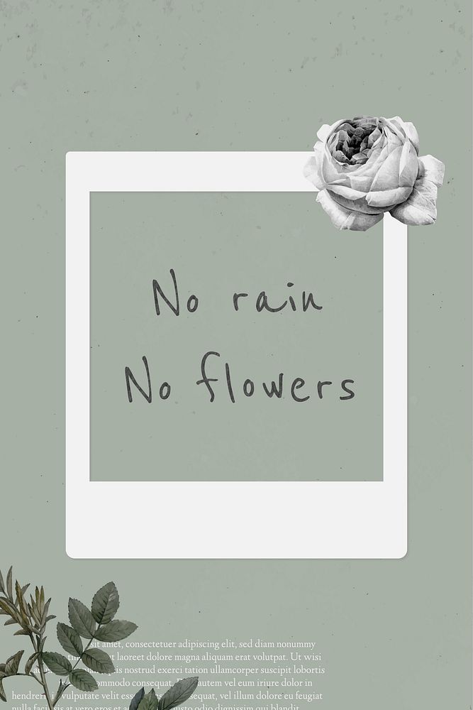 No rain no flowers quote on instant photo frame