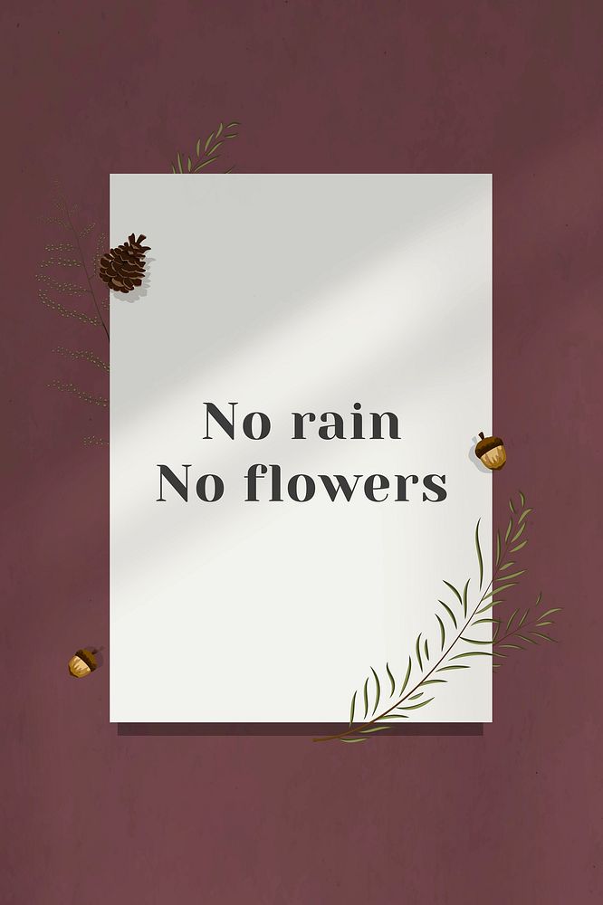 Motivation wall quote no rain no flowers on white paper with flower