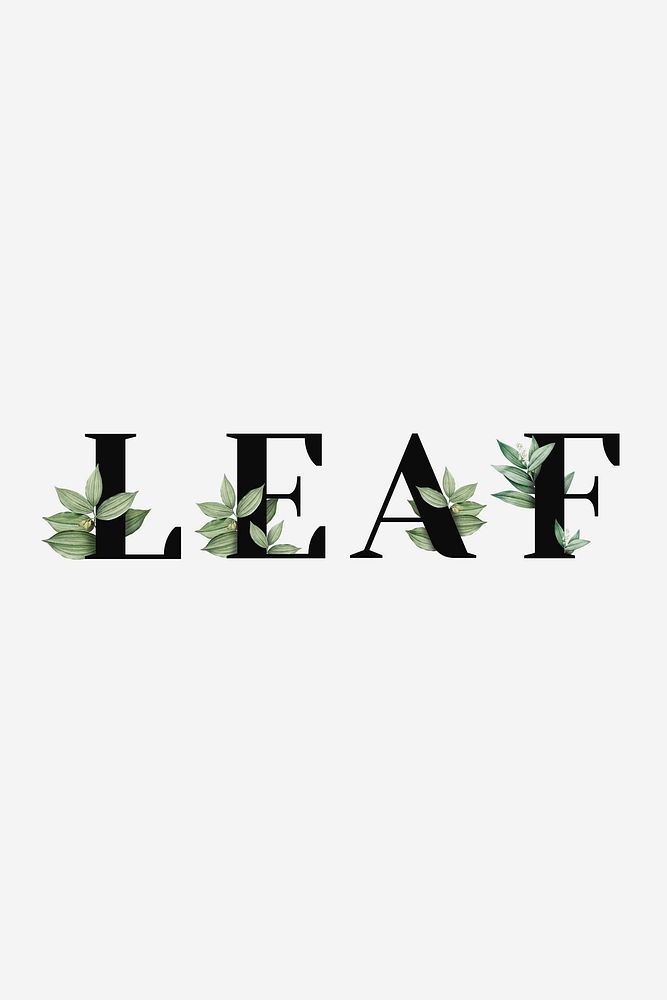 Botanical LEAF vector word black typography
