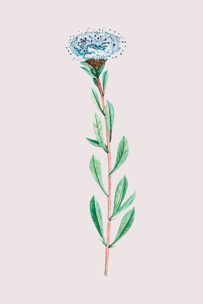 Vintage globe daisy psd blue flower hand drawn illustration