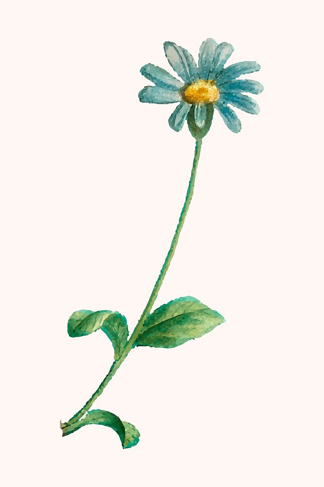 Hand drawn blue daisy flower cute botanical illustration