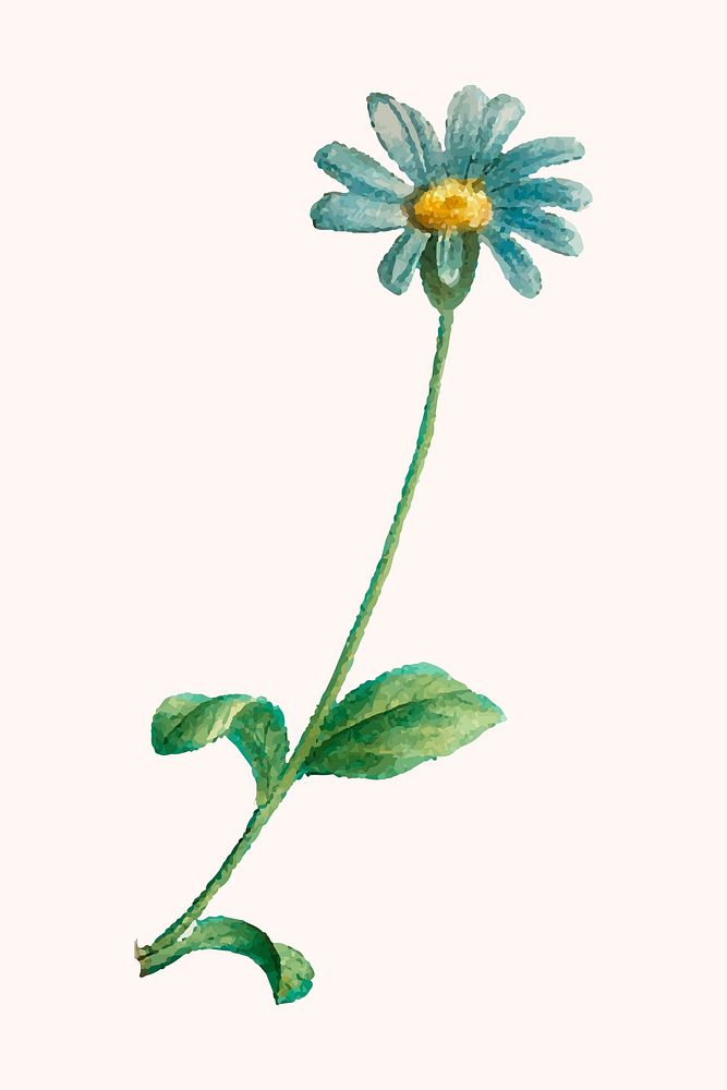 Hand drawn blue daisy vector flower cute botanical