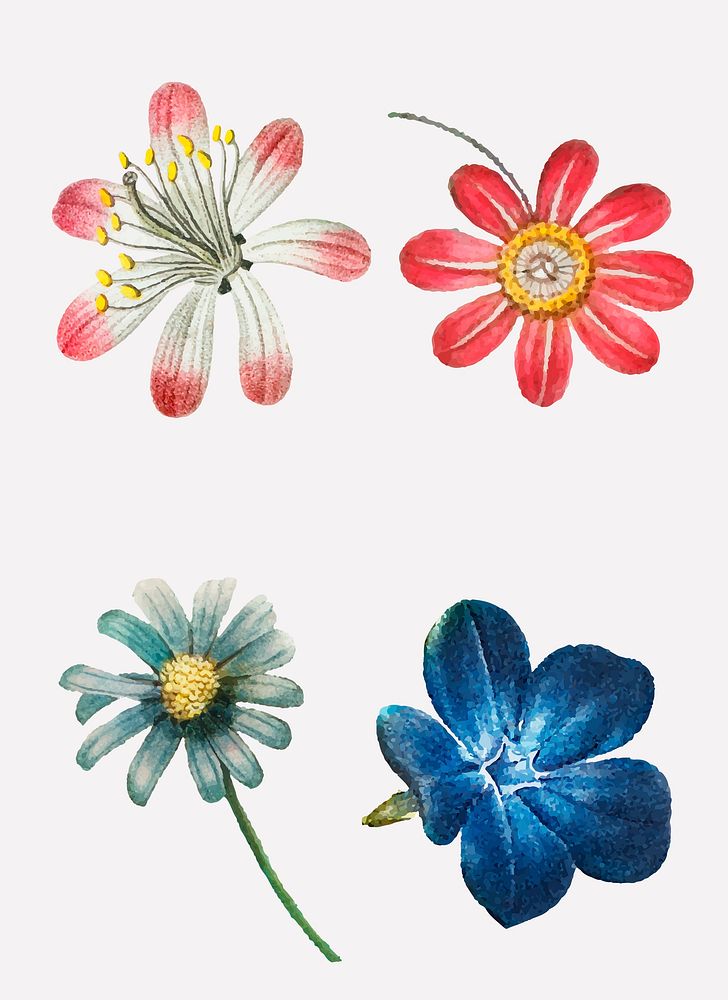 Pink and blue flower psd set vintage illustration