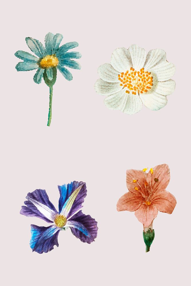Hand drawn flower vector set vintage botanical illustration