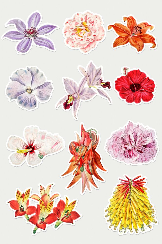 Summer flowers png cut out mixed