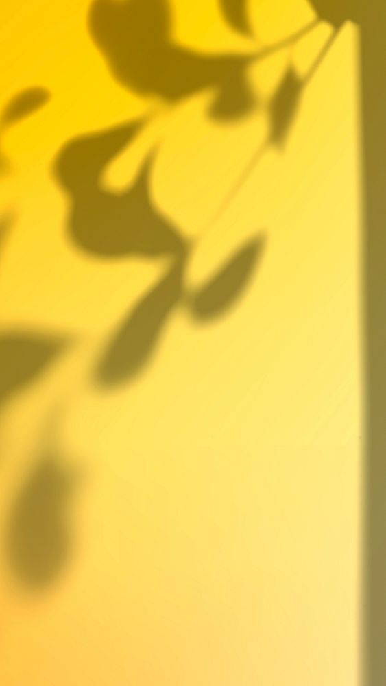 Abstract yellow gradient background files with leaf shadow