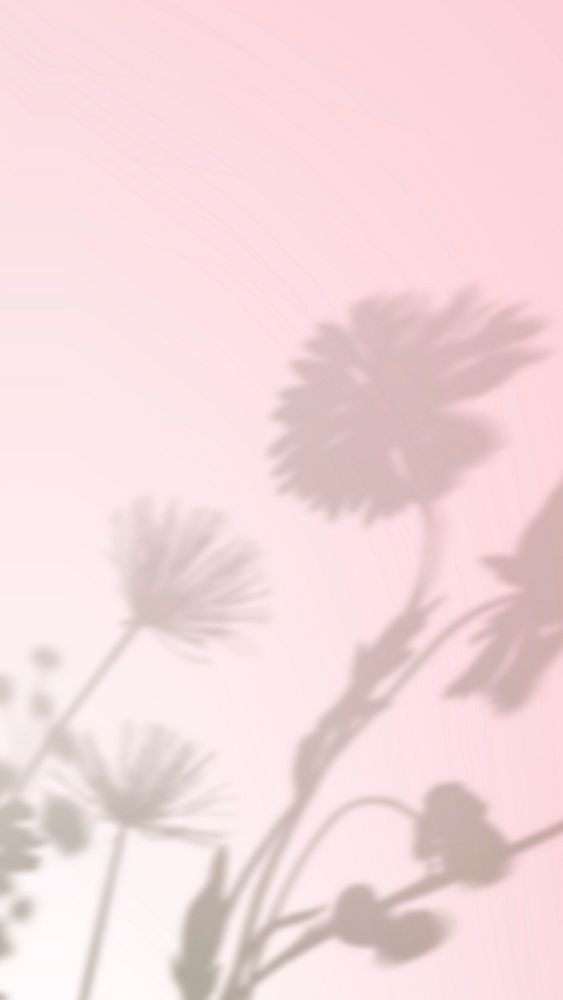 Aesthetic flower shadow background in pink gradient