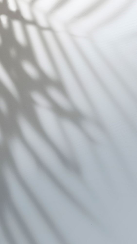 Abstract gray gradient background with tropical leaf shadow
