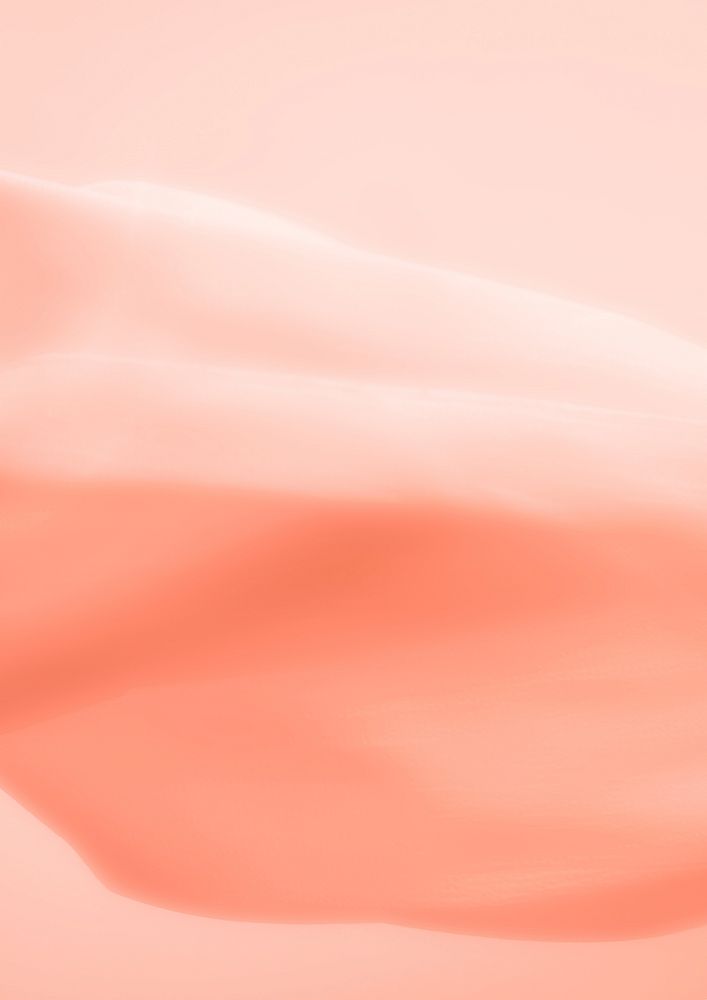 Peach rose petals on soft pastel background