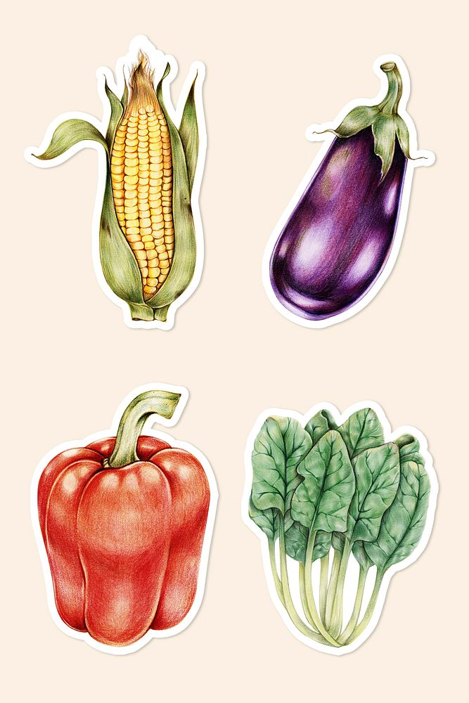 Organic food psd vegetables drawing illustration set