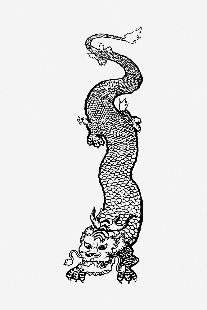 Chinese dragon drawing, illustration. Free public domain CC0 image.