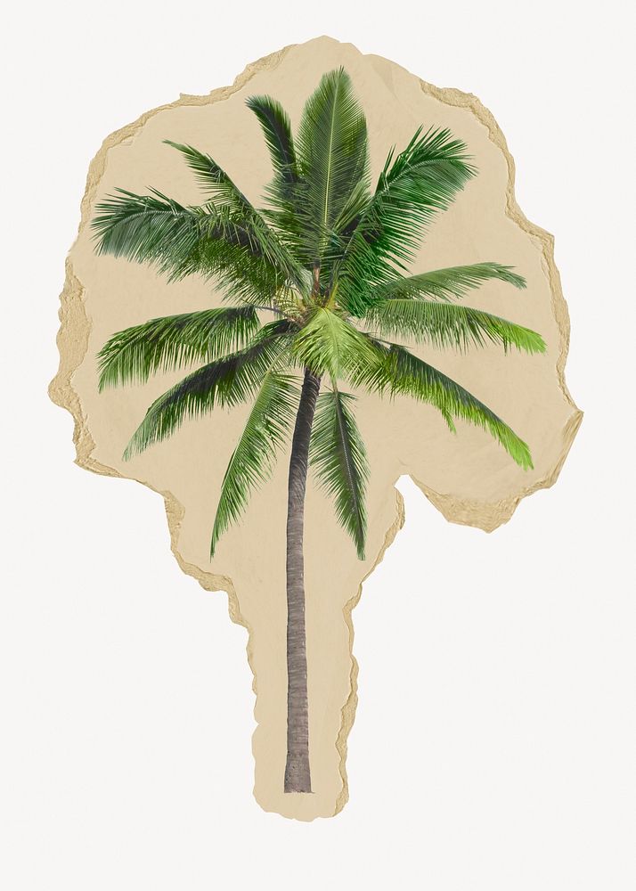 Palm tree, ripped paper collage element