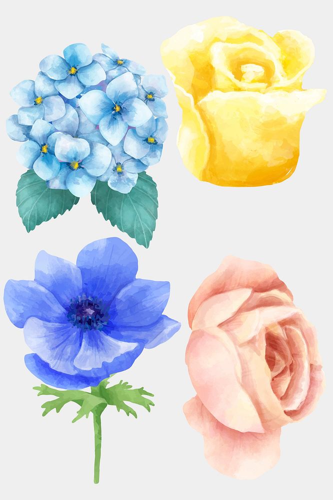 Watercolor blooming flowers vector illustration collection