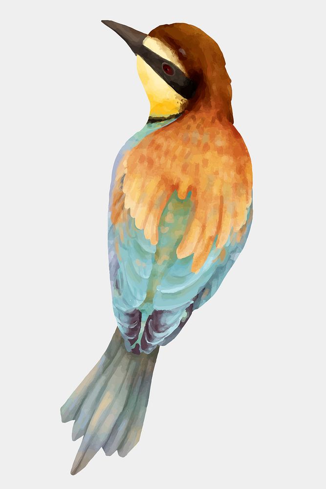Bird hand drawn psd watercolor illustration