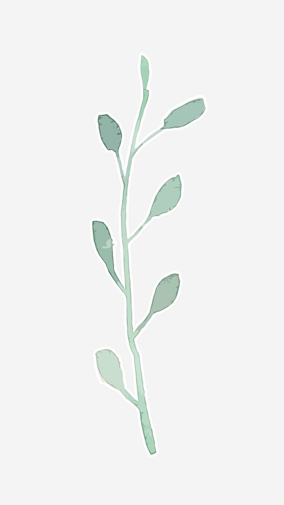 Green plant botanical watercolor illustration