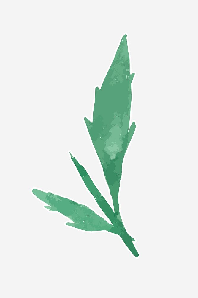 Tropical green leaves watercolor illustration