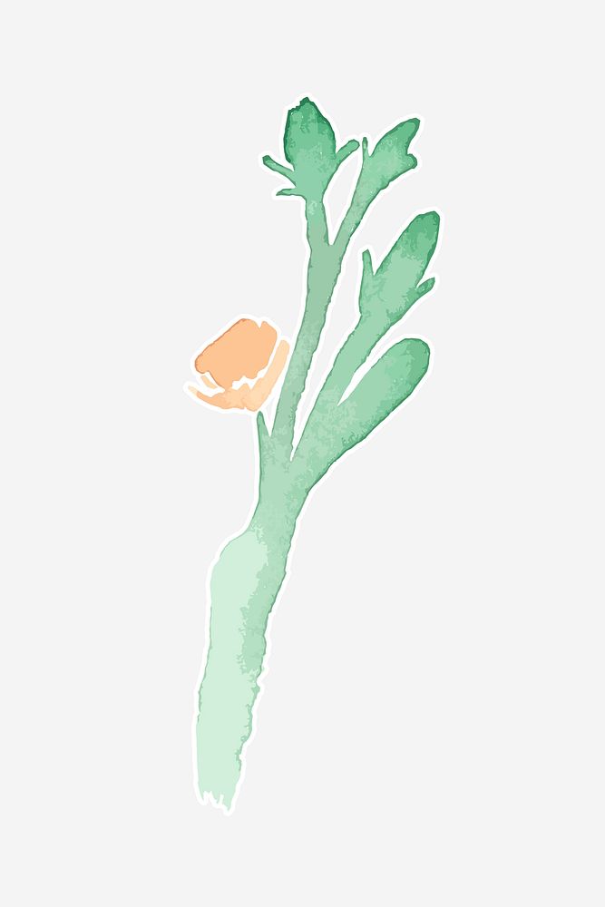 Classic flower plant hand drawn watercolor